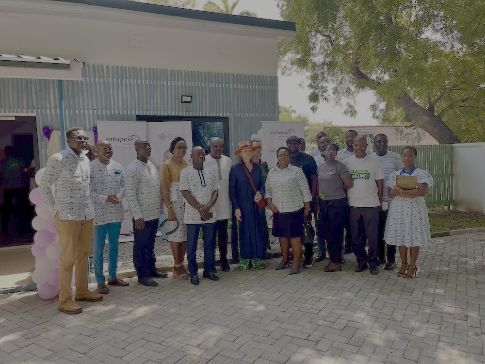 Butterfly project picture